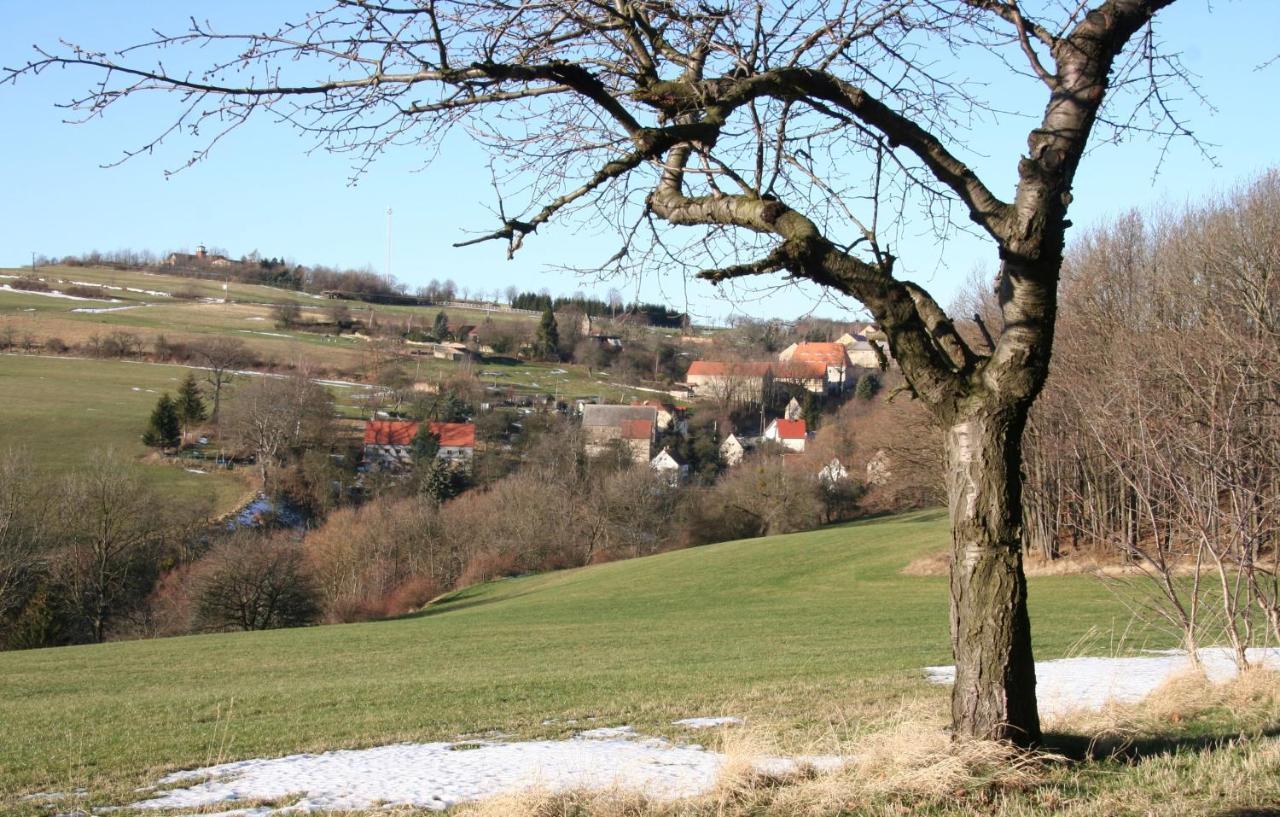 Villa Fachwerkhaus Maxen Muglitztal Esterno foto