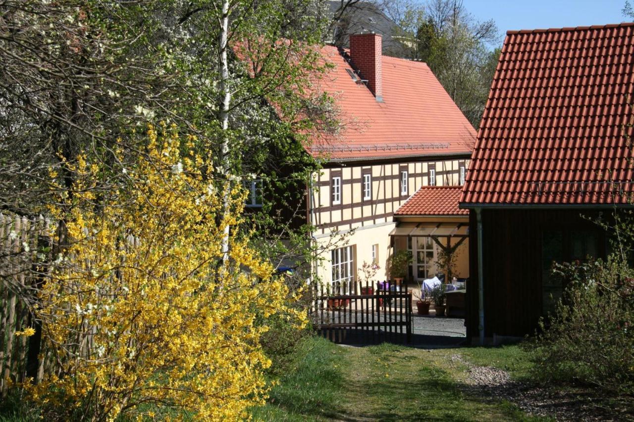 Villa Fachwerkhaus Maxen Muglitztal Esterno foto